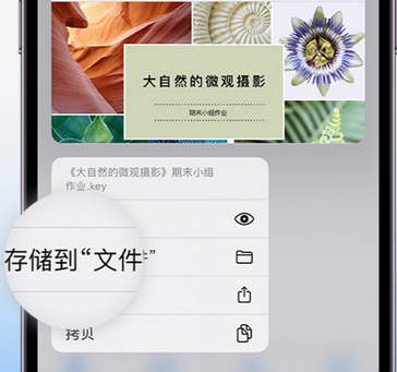 从江apple维修中心分享iPhone文件应用中存储和找到下载文件