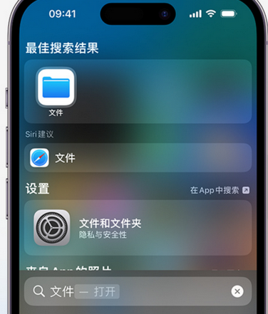 从江apple维修中心分享iPhone文件应用中存储和找到下载文件 