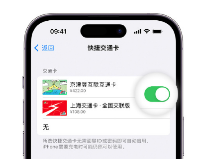 从江apple维修点分享iPhone上更换Apple Pay快捷交通卡手绘卡面 