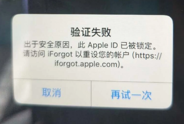 从江iPhone维修分享iPhone上正常登录或使用AppleID怎么办 