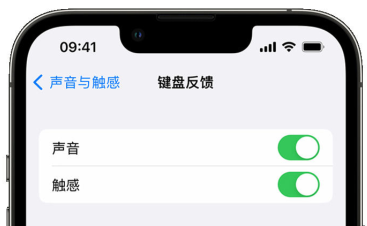 从江苹果手机维修分享iPhone 14触感键盘使用方法 