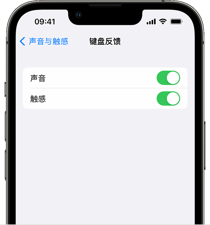 从江苹果14维修店分享如何在 iPhone 14 机型中使用触感键盘 