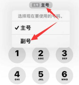 从江苹果14维修店分享iPhone 14 Pro Max使用副卡打电话的方法 