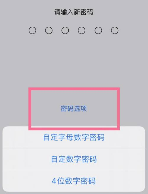 从江苹果14维修分享iPhone 14plus设置密码的方法 