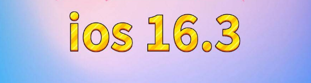 从江苹果服务网点分享苹果iOS16.3升级反馈汇总 