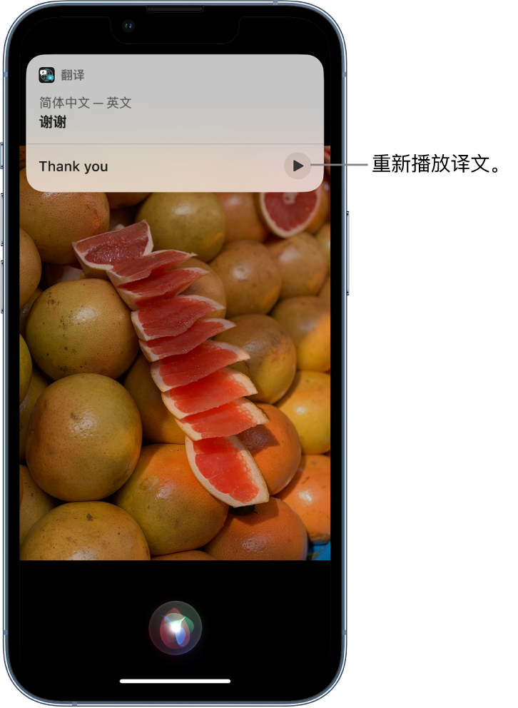 从江苹果14维修分享 iPhone 14 机型中使用 Siri：了解 Siri 能帮你做什么 