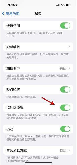 从江苹果手机维修分享iPhone手机如何设置摇一摇删除文字 